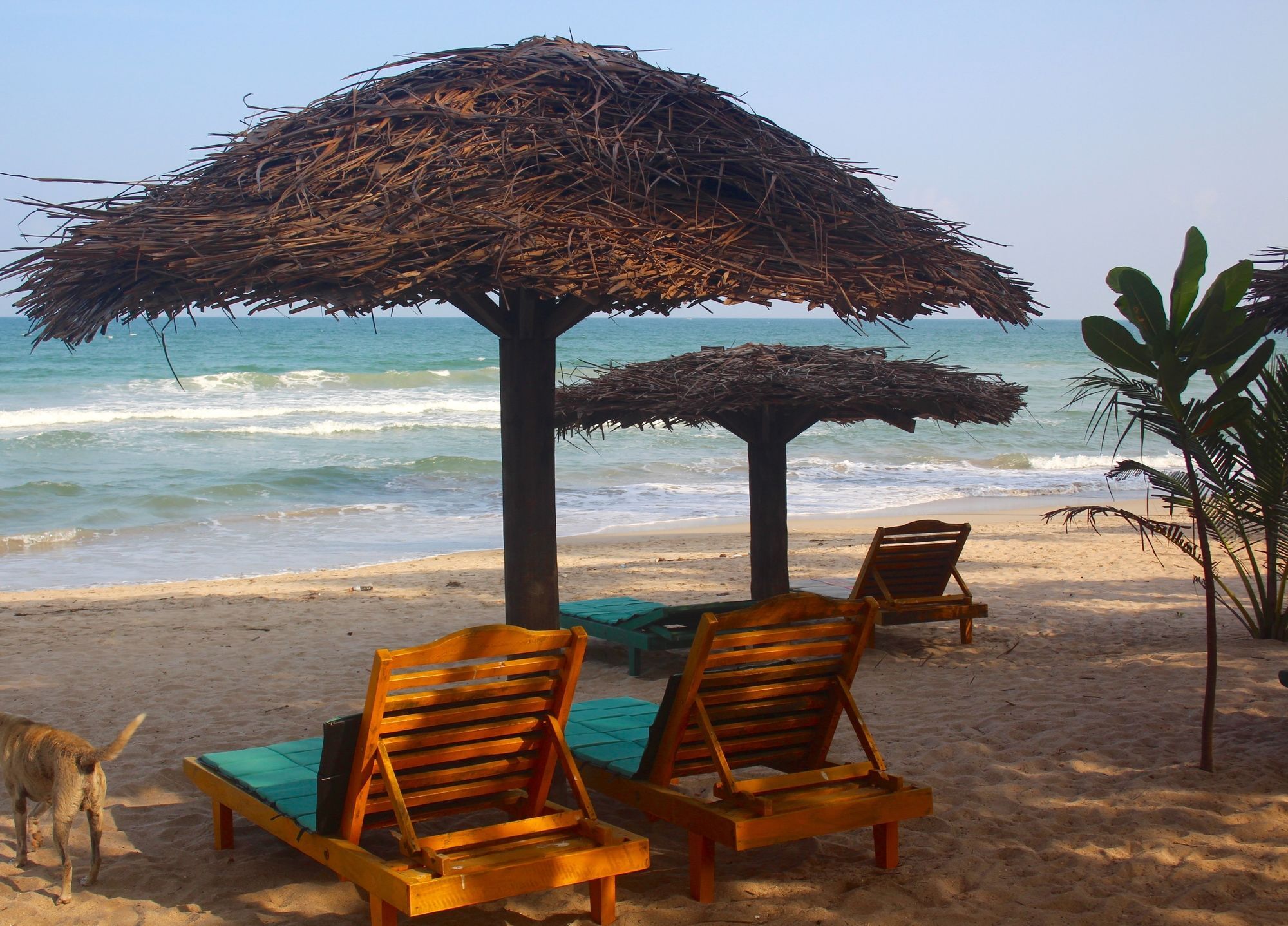 טרינקומאלה Golden Beach Cottages מראה חיצוני תמונה